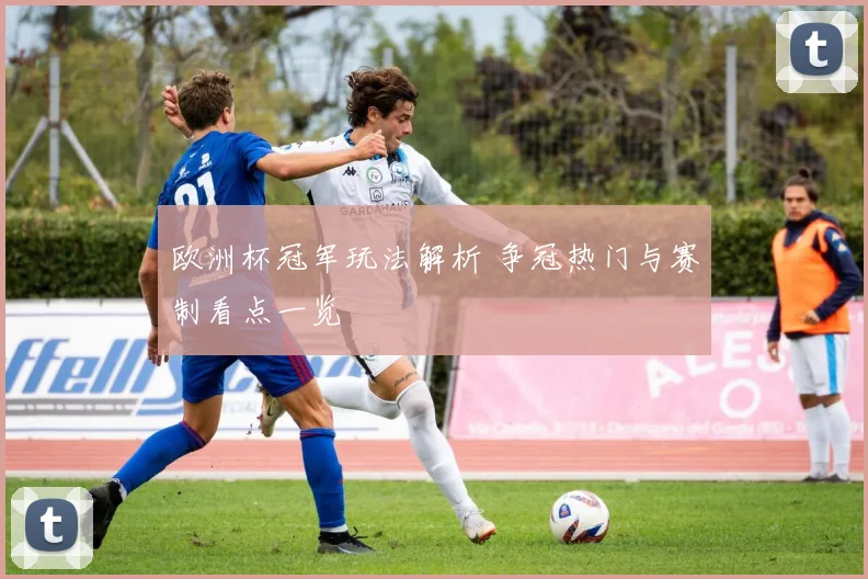 欧洲杯冠军玩法解析 争冠热门与赛制看点一览