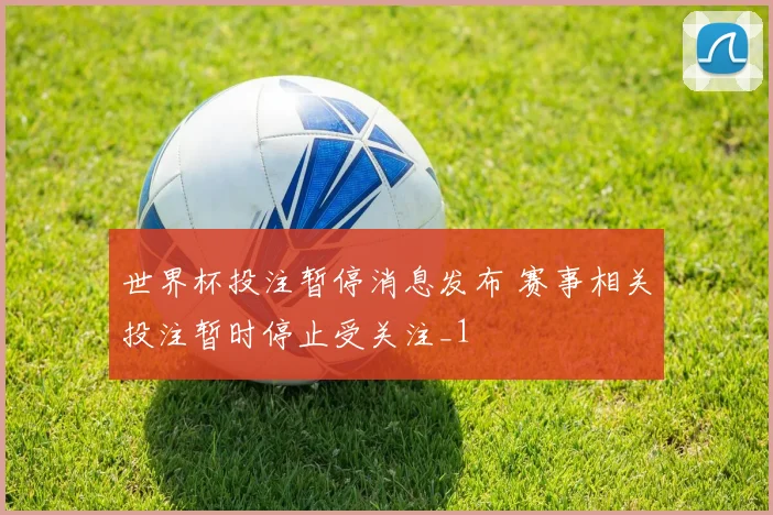 世界杯投注暂停消息发布 赛事相关投注暂时停止受关注_1