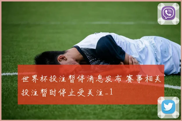 世界杯投注暂停消息发布 赛事相关投注暂时停止受关注_1