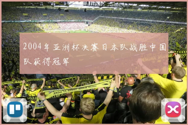 2004年亚洲杯决赛日本队战胜中国队获得冠军