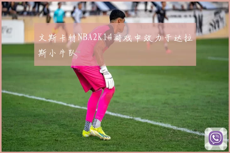 文斯卡特NBA2K14游戏中效力于达拉斯小牛队