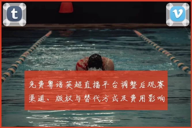 免费粤语英超直播平台调整后观赛渠道、版权与替代方式及费用影响解读